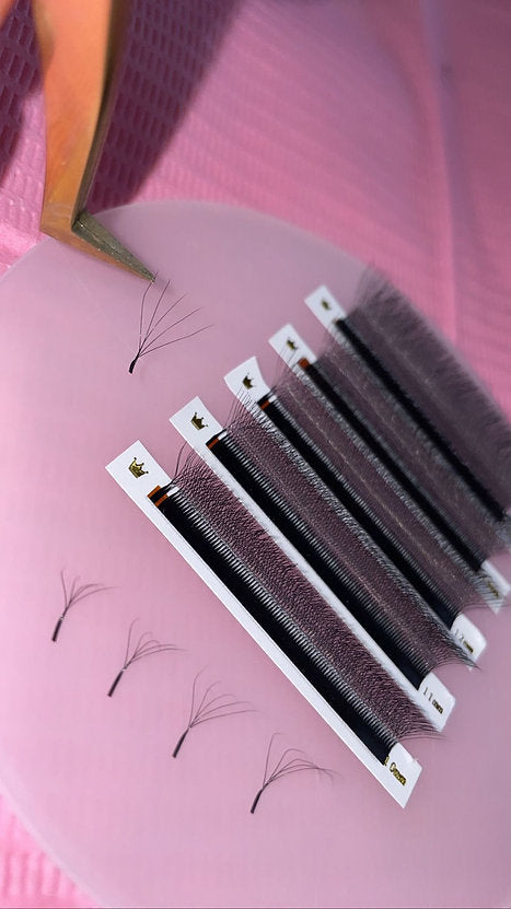 5D W Lash Trays - Blossoms