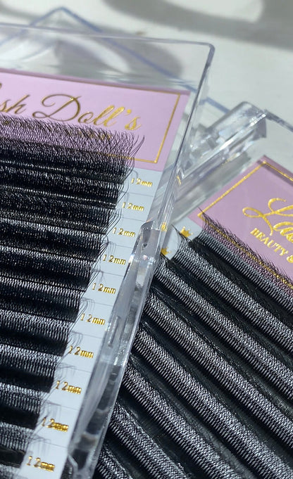 5D W Lash Trays - Blossoms