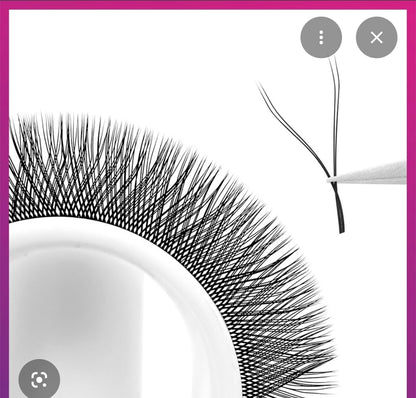 YY Lash Trays